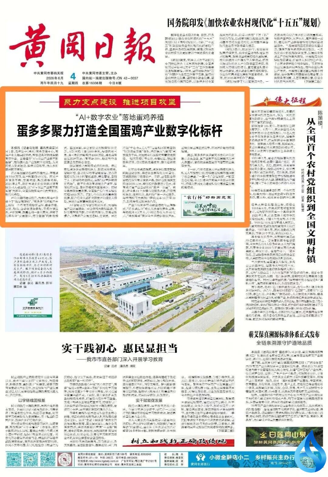浠水“AI+数字农业”落地蛋鸡养殖