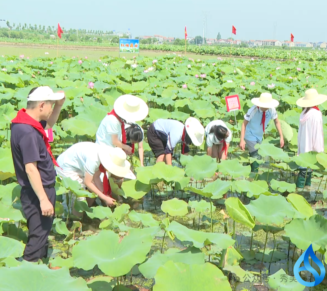 藕荷夏长践初心 耕读传家承红魂：浠水红色研学硕果累累