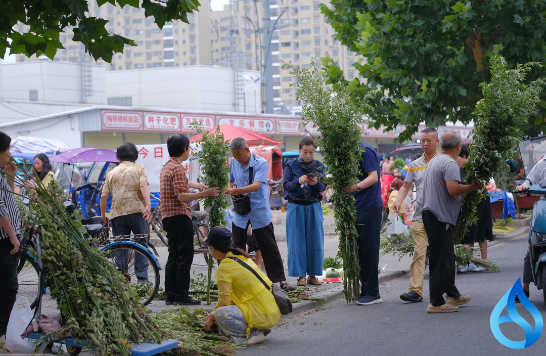 麻城端午烟火
