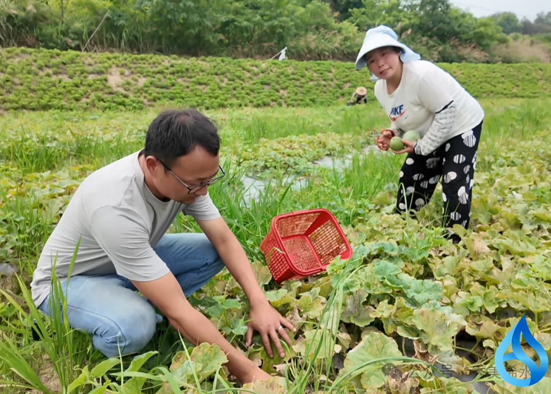 浠水团陂特色产业助民增收