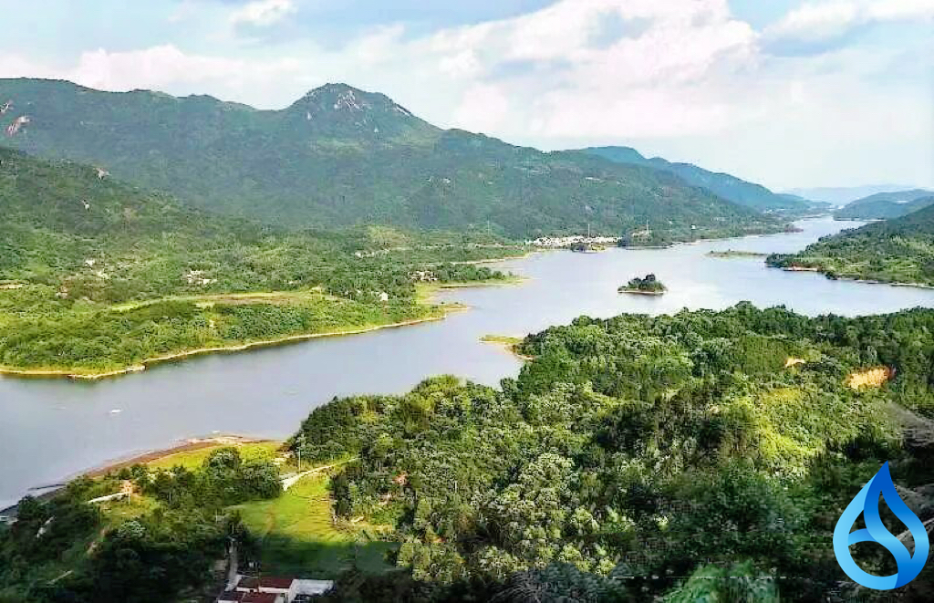 黄梅一林场富民增收路