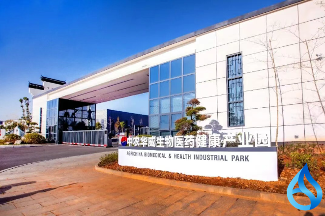 千余项全球发明角逐！蕲春企业突围斩获国际金奖