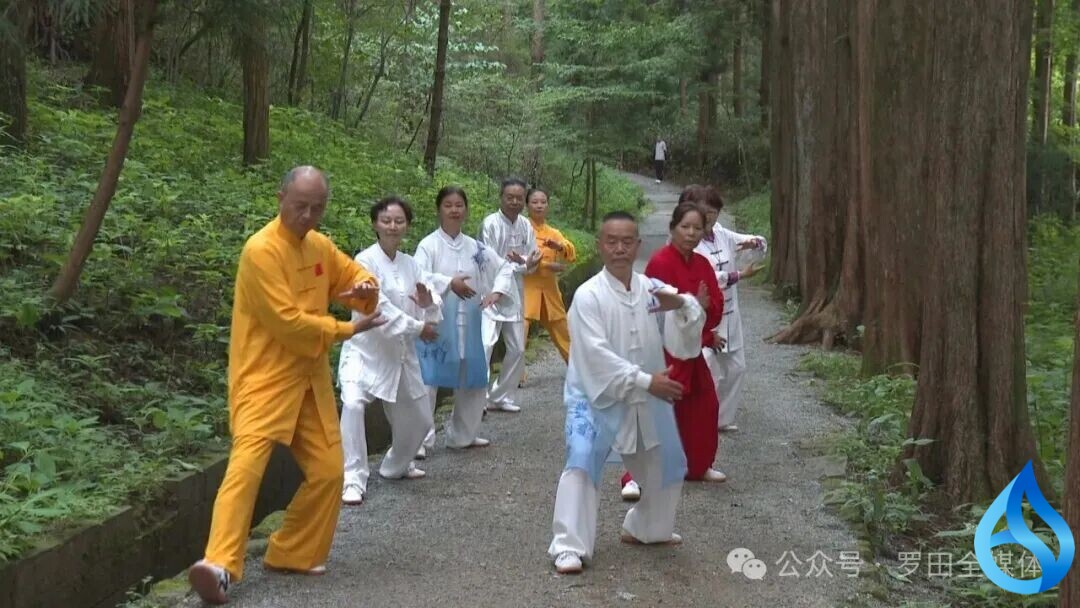 罗田林下经济旺起来